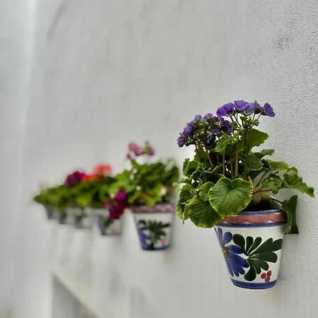 Aparthome Sanroman Seville Exterior photo